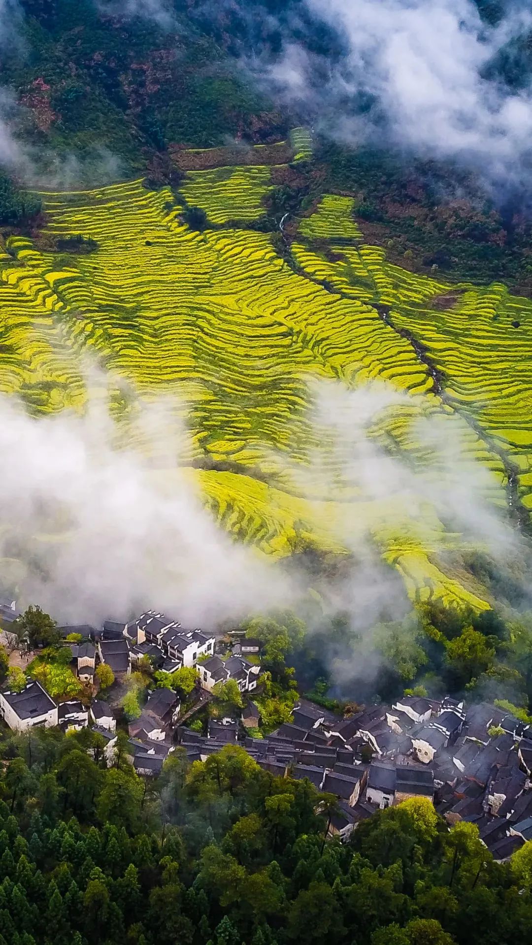 江西深巷中的秘密花园,探寻江西特色小店之谜