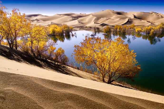 新疆智造新纪元,新疆高科技产品引领未来浪潮